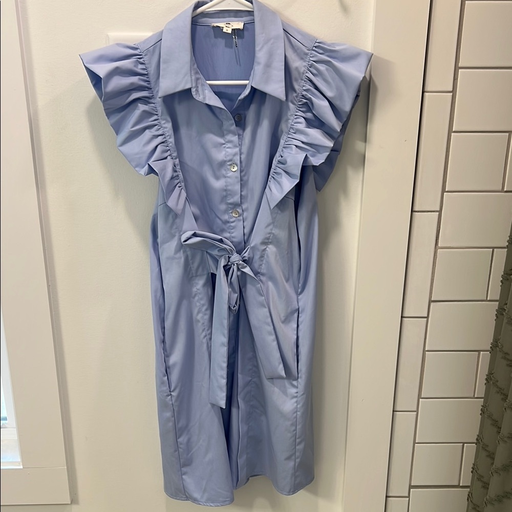 Blue Ruffle Sleeve Dress